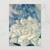 グルジア素晴らしオキーフェホワイトローズとラークスパー ポストカード (正面)