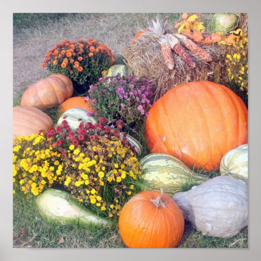 グルスとカボチャ ポスター (正面)