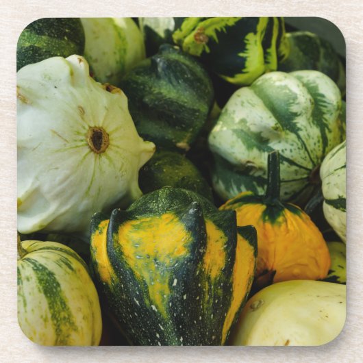 グルズガロール コースター (正面)