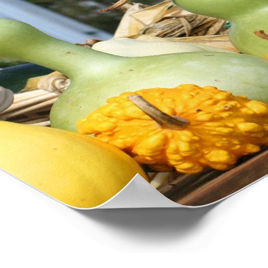 グルズコーン茎ファームスタンド秋 ポスター (角)