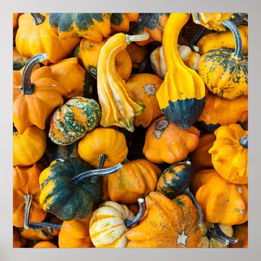 グルズ ポスター (正面)