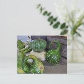 グルズ ポストカード (スタンド正面)