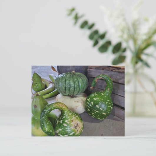 グルズ ポストカード (スタンド正面)