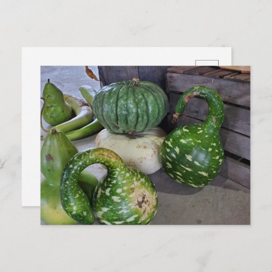 グルズ ポストカード (正面/裏面)