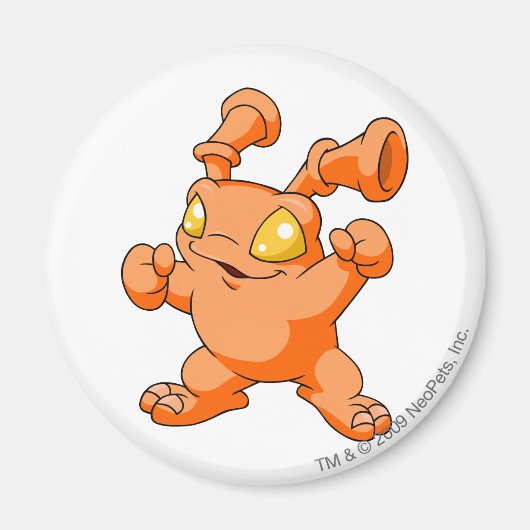 グルドオレンジ マグネット (正面)