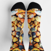 グルドカラフルC ソックス (上部)