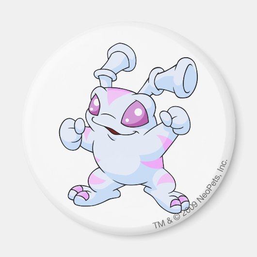 グルドンストライプの マグネット (正面)