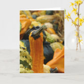 グルド カード (黄色い花)