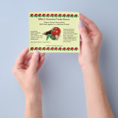 グルメクラシックパスタソース4.5インチx 5.6インチフライヤー チラシ (手)