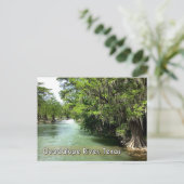 グルーエンのグアダルーペ川、テキサス州はがき ポストカード (スタンド正面)