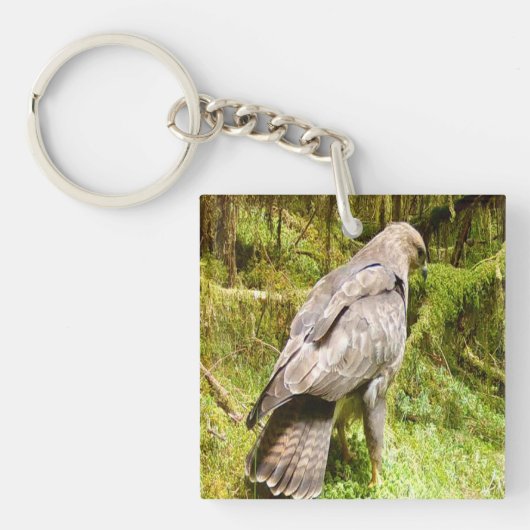 グルーズを探しているバザードワイン キーホルダー (正面)