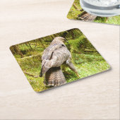 グルーズコースターを探しているバザードコースター スクエアペーパーコースター (アングル)