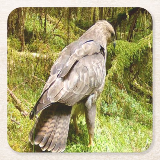 グルーズコースターを探しているバザードコースター スクエアペーパーコースター (正面)