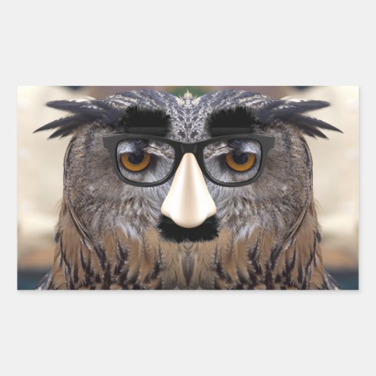 グルーチョマルクスイーグルフクロウ 長方形シール (正面)