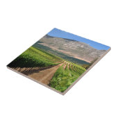 グルート·コンスタンティア·ワイン·エステートのブドウ園 タイル (側面)