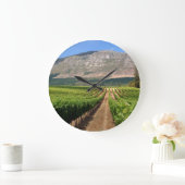 グルート·コンスタンティア·ワイン·エステートのブドウ園 ラージ壁時計 (ホーム)