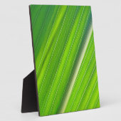 グルーヌマイスブラットデザイン フォトプラーク (側面)