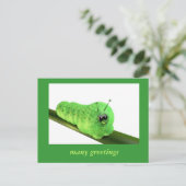 グルーヌラウペ ポストカード (スタンド正面)