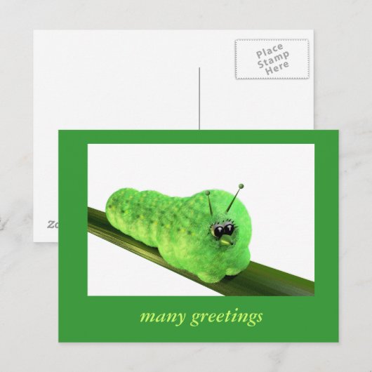 グルーヌラウペ ポストカード (正面/裏面)