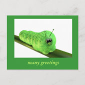 グルーヌラウペ ポストカード (正面)