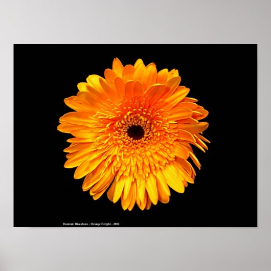 グルービー ポスター (正面)