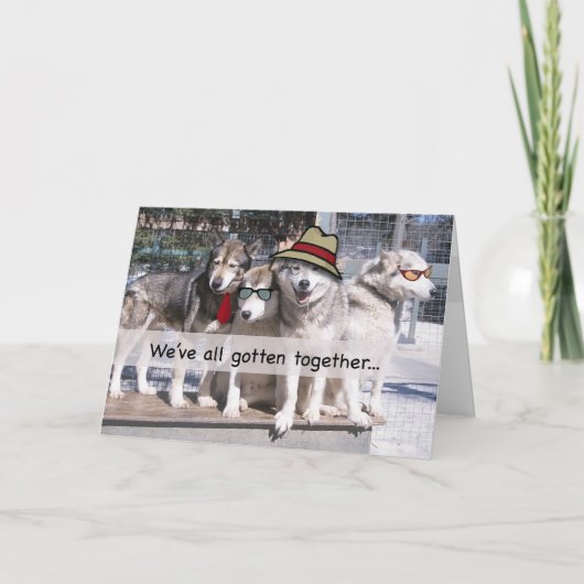 グループからのハッピーバースデー、ハスキー カード (正面)