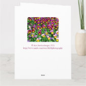 グループからのパンジー/大型誕生日カードの質量 カード (裏面)