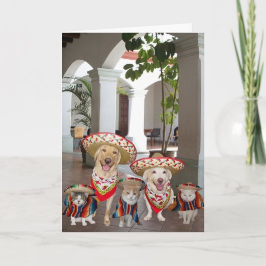 グループからの誕生日スペインの カード (正面)