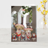 グループからの誕生日スペインの カード (黄色い花)