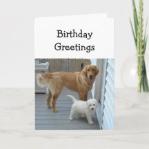 グループのペットの犬からの誕生日お祝いメッセージ　ユーモア