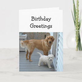 グループのペットの犬からの誕生日お祝いメッセージ　ユーモア カード