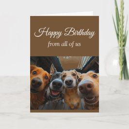 グループの犬たちからお誕生日おめでとう ペット 動物 面白い カード