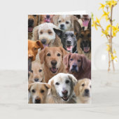 グループの誕生日カード カード (黄色い花)