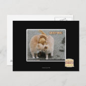 グループハグ ポストカード (正面/裏面)