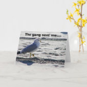 グループパーティーカモメ-誕生日 カード (黄色い花)