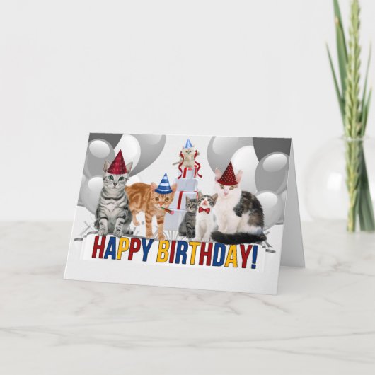 グループ猫好きからの誕生日 カード (正面)
