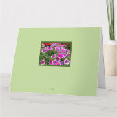 グループ/フローラ/特大から元気になる カード (裏面)