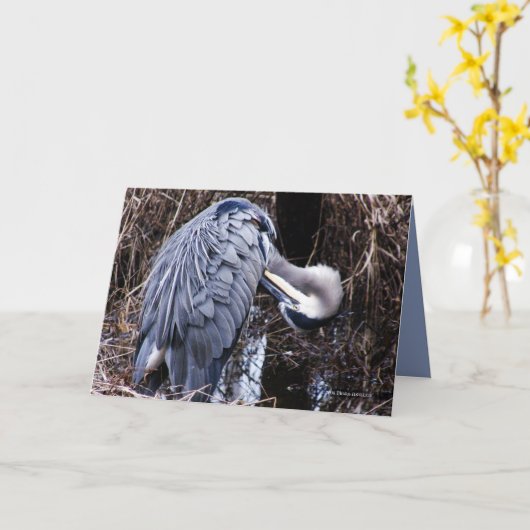 グルーミングの鷲 カード (黄色い花)