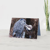 グルーミングの鷲 カード (正面)