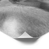 グルーミングスンダ豚の尾マカク – 写真プリント フォトプリント            (角)