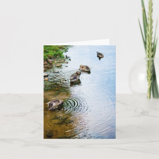 グルーミングダックス2 カード (正面)