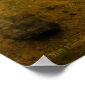 グルーミングダックス2 ポスター (角)