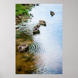 グルーミングダックス2 ポスター