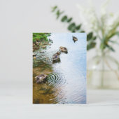 グルーミングダックス2 ポストカード (スタンド正面)