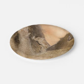 グルーミングヒヒ ペーパープレート (アングル)