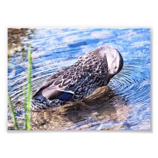 グルーミング効果 フォトプリント            (正面)