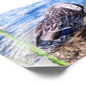 グルーミング効果 フォトプリント            (角)