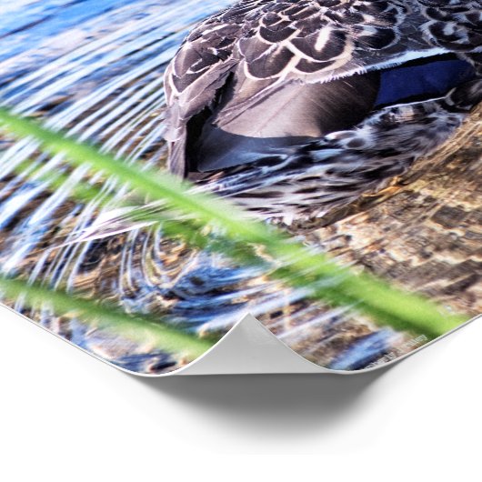 グルーミング効果 ポスター (角)