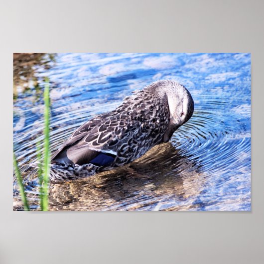 グルーミング効果 ポスター (正面)