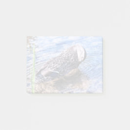 グルーミング効果 ポストイット